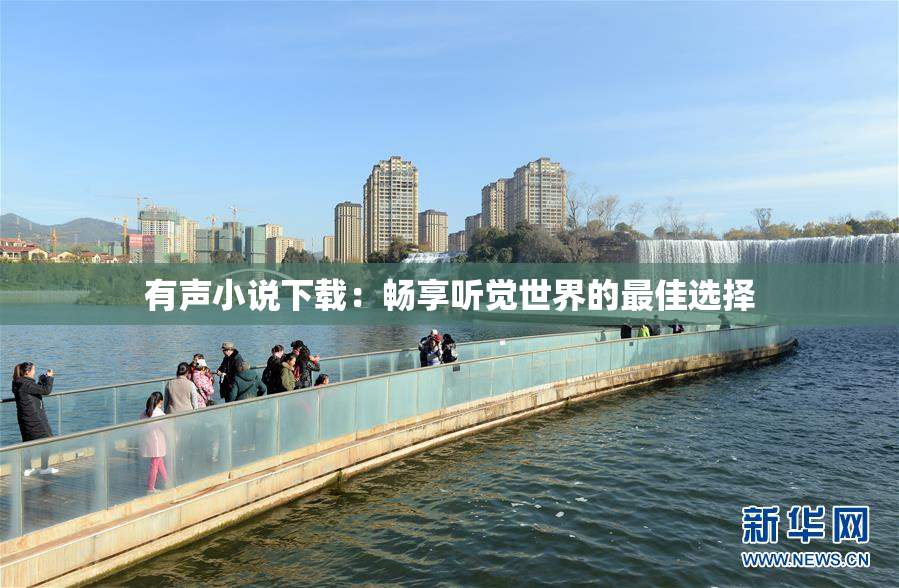 有声小说下载：畅享听觉世界的最佳选择