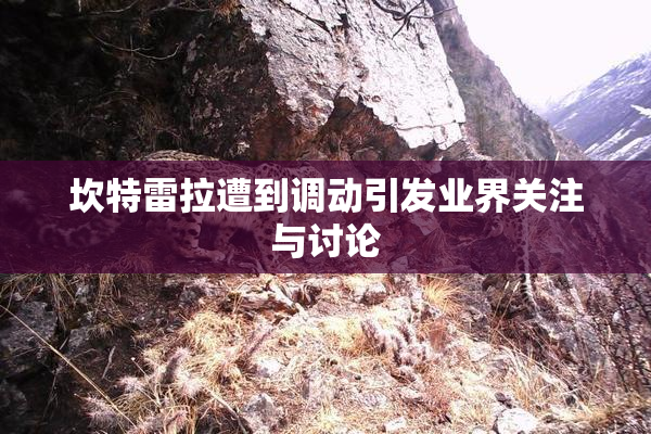 坎特雷拉遭到调动引发业界关注与讨论