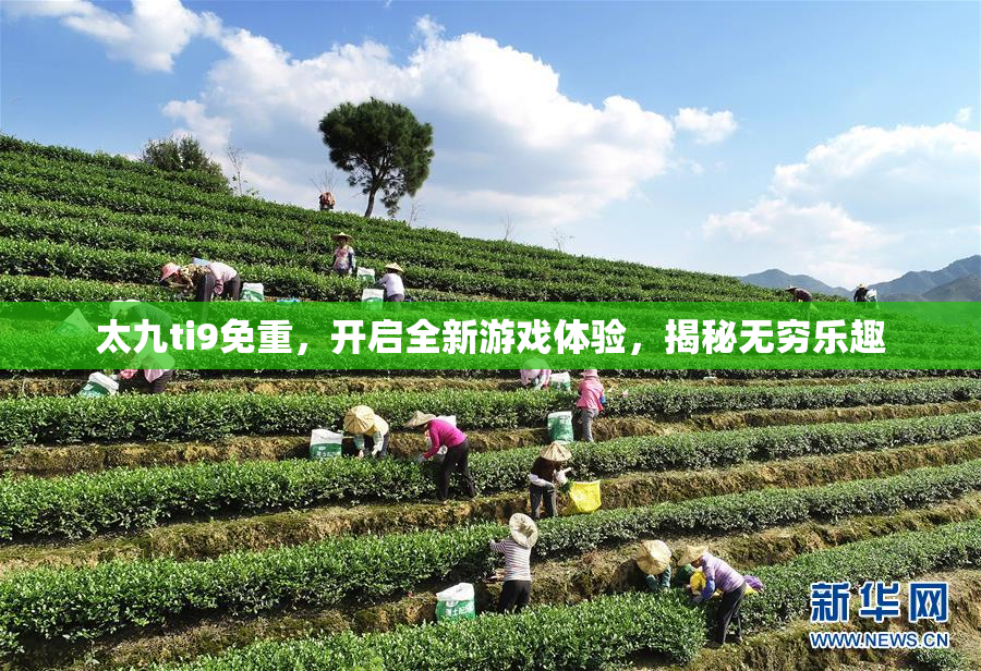 太九ti9免重，开启全新游戏体验，揭秘无穷乐趣