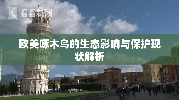 欧美啄木鸟的生态影响与保护现状解析