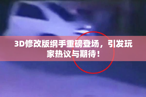 3D修改版纲手重磅登场，引发玩家热议与期待！