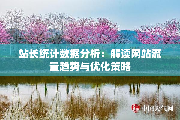 站长统计数据分析：解读网站流量趋势与优化策略