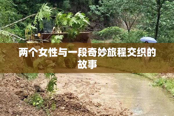 两个女性与一段奇妙旅程交织的故事
