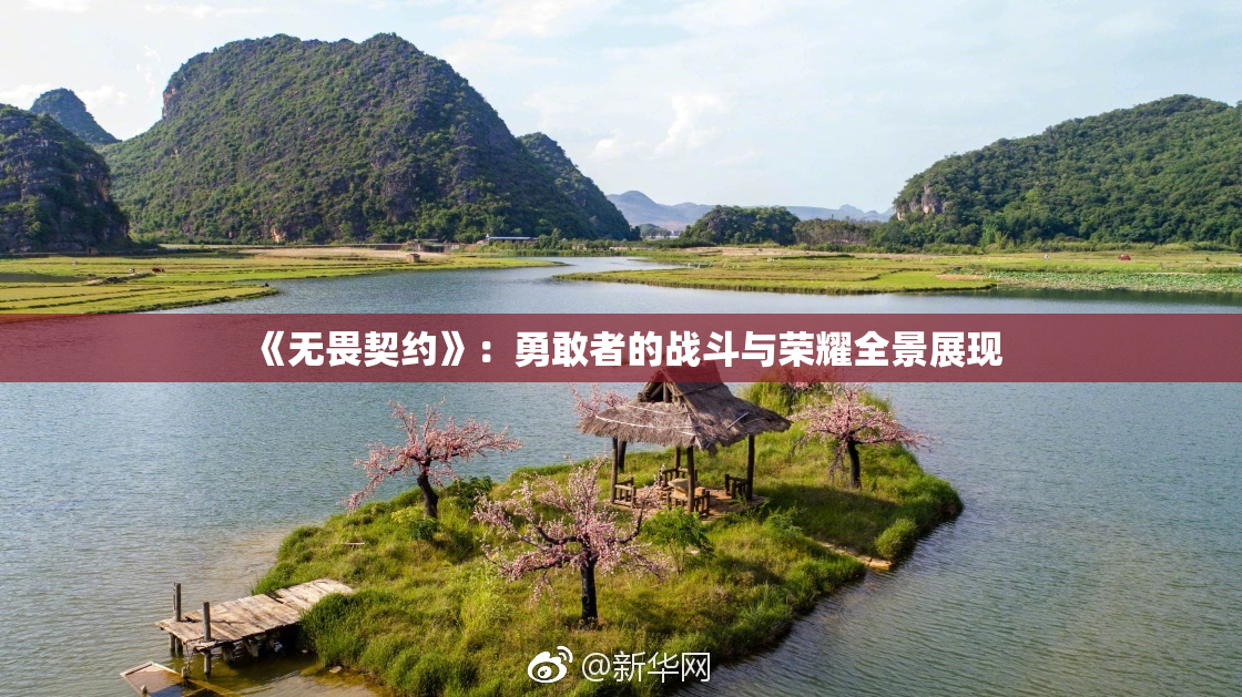 《无畏契约》：勇敢者的战斗与荣耀全景展现