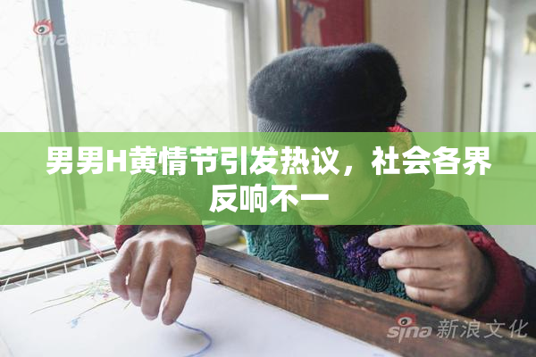 男男H黄情节引发热议，社会各界反响不一