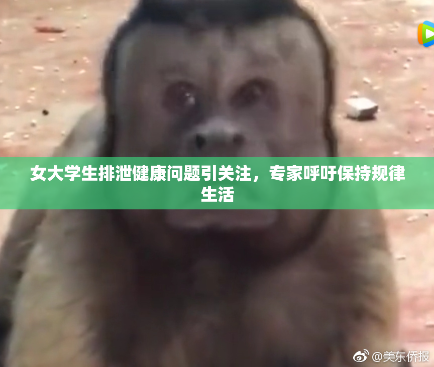 女大学生排泄健康问题引关注，专家呼吁保持规律生活