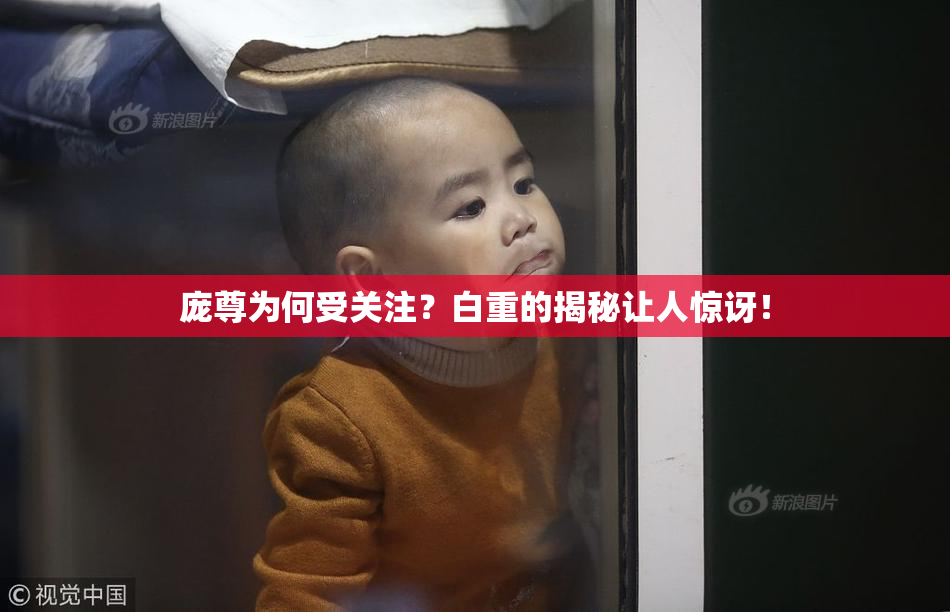庞尊为何受关注？白重的揭秘让人惊讶！