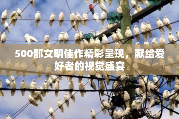 500部女明佳作精彩呈现，献给爱好者的视觉盛宴