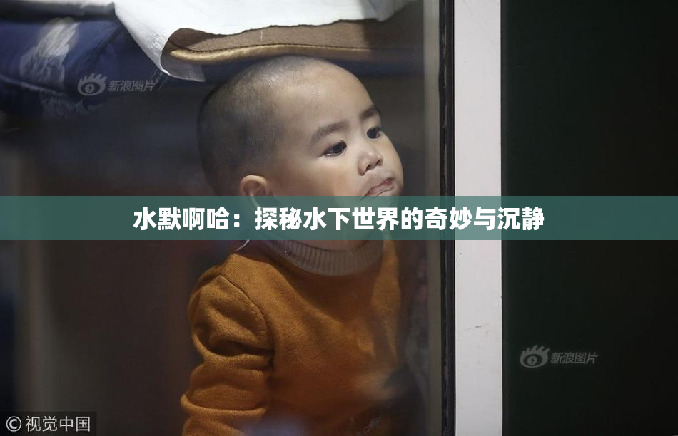 水默啊哈：探秘水下世界的奇妙与沉静
