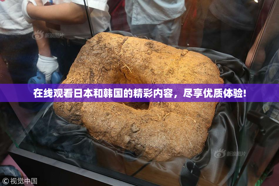 在线观看日本和韩国的精彩内容，尽享优质体验!