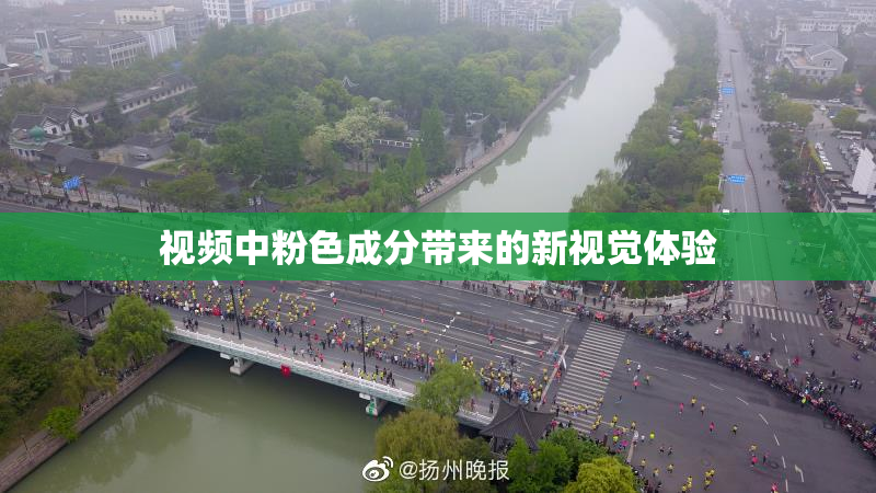 视频中粉色成分带来的新视觉体验