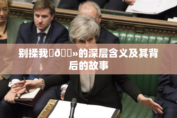 别揉我‌🐻的深层含义及其背后的故事