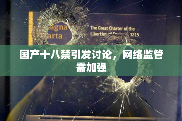 国产十八禁引发讨论，网络监管需加强