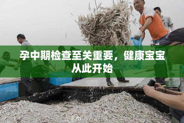 孕中期检查至关重要，健康宝宝从此开始