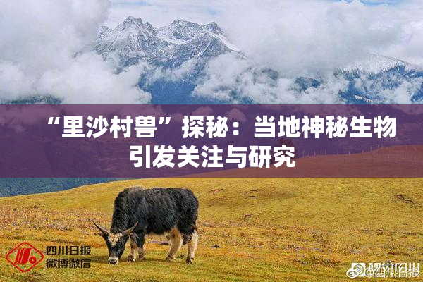 “里沙村兽”探秘：当地神秘生物引发关注与研究