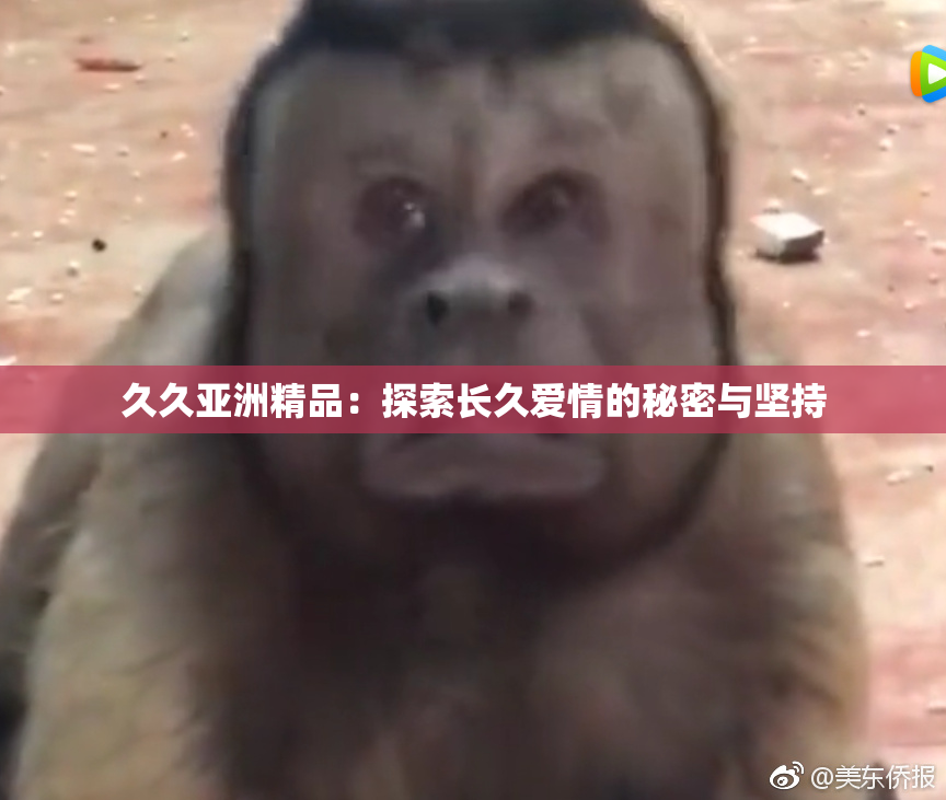 久久亚洲精品：探索长久爱情的秘密与坚持