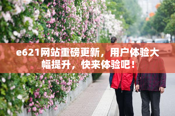 e621网站重磅更新，用户体验大幅提升，快来体验吧！