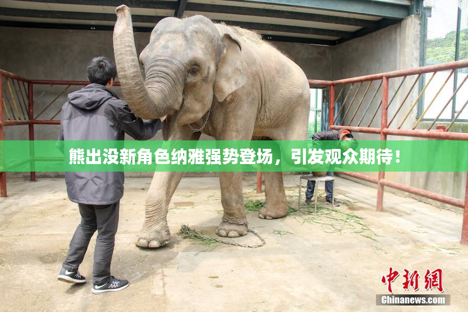 熊出没新角色纳雅强势登场，引发观众期待！