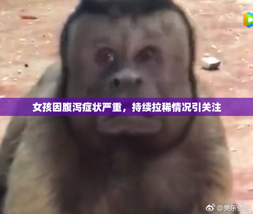 女孩因腹泻症状严重，持续拉稀情况引关注