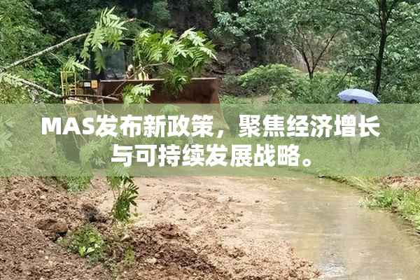 MAS发布新政策，聚焦经济增长与可持续发展战略。