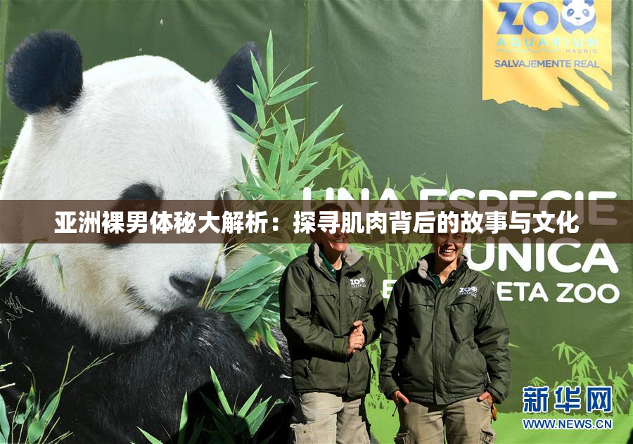 亚洲裸男体秘大解析：探寻肌肉背后的故事与文化