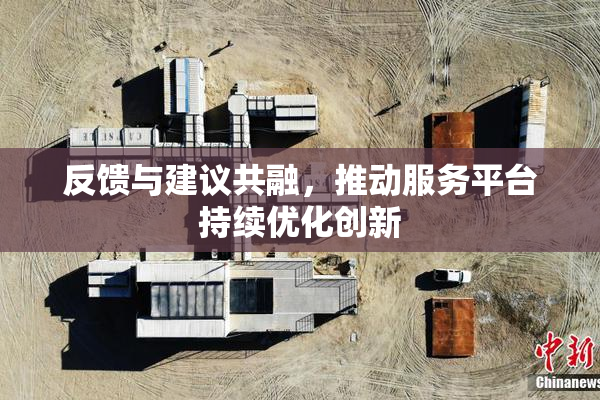 反馈与建议共融，推动服务平台持续优化创新