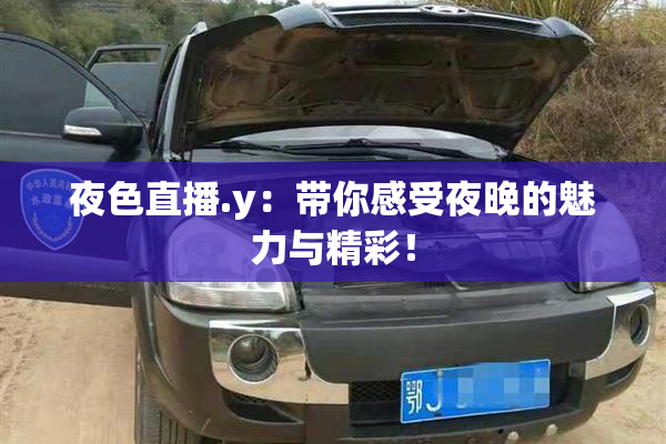 夜色直播.y：带你感受夜晚的魅力与精彩！