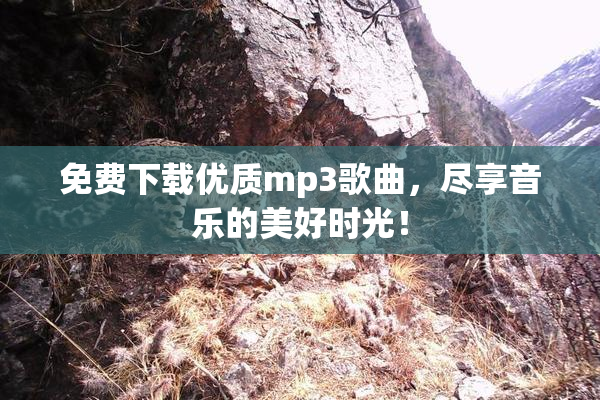 免费下载优质mp3歌曲，尽享音乐的美好时光！