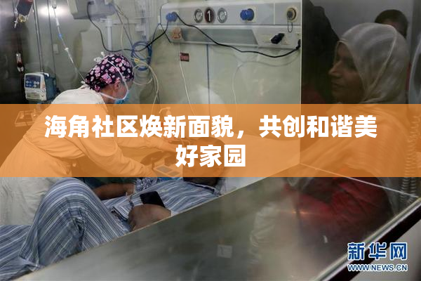 海角社区焕新面貌，共创和谐美好家园