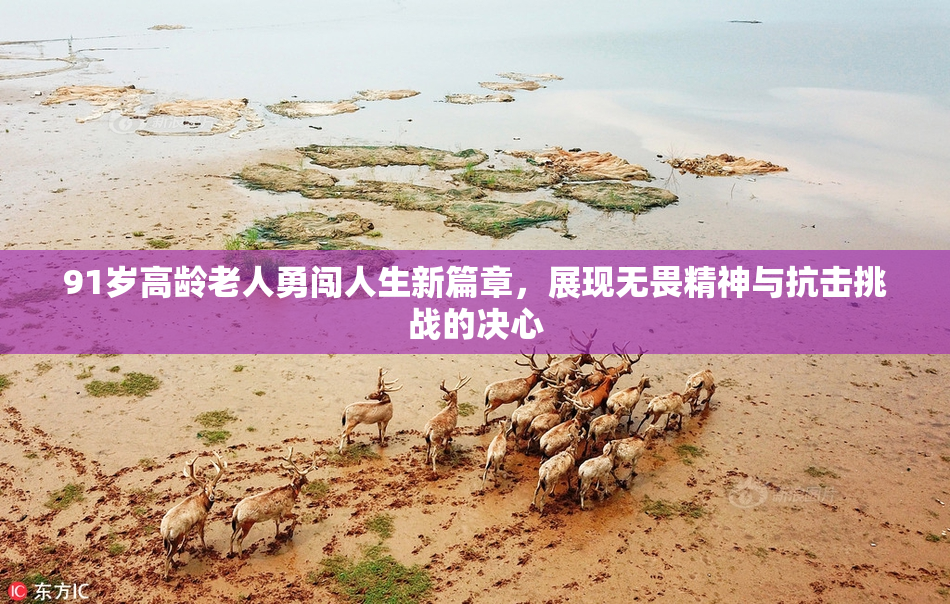 91岁高龄老人勇闯人生新篇章，展现无畏精神与抗击挑战的决心