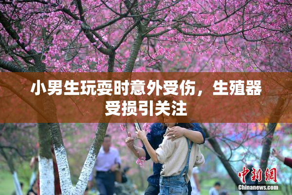 小男生玩耍时意外受伤，生殖器受损引关注