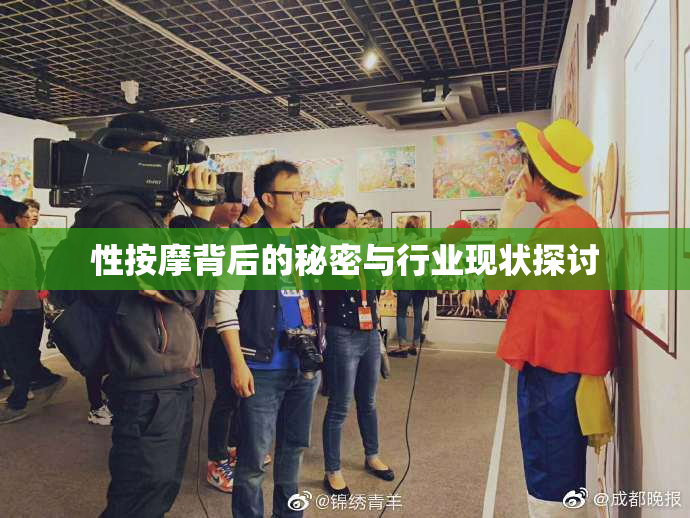 性按摩背后的秘密与行业现状探讨
