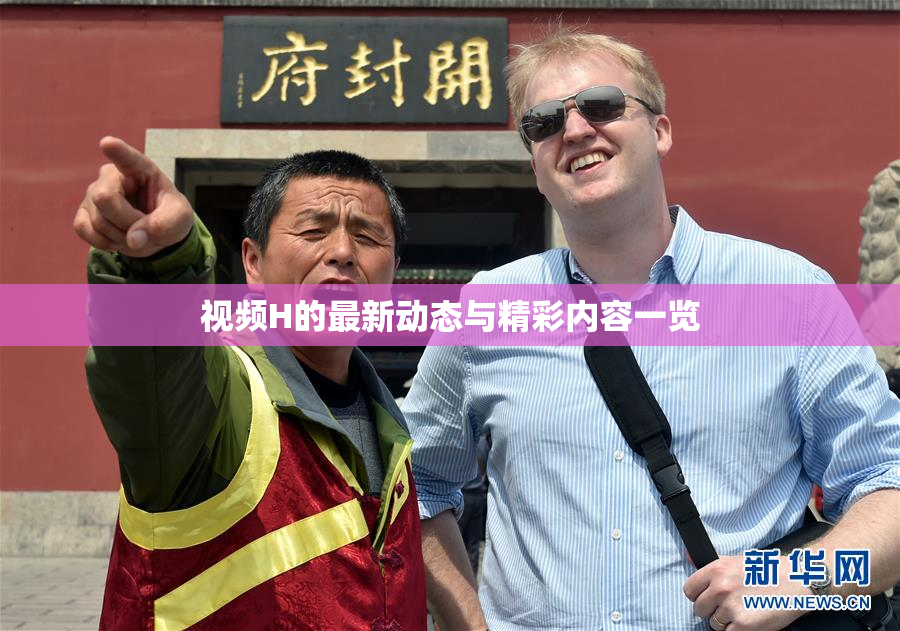 视频H的最新动态与精彩内容一览