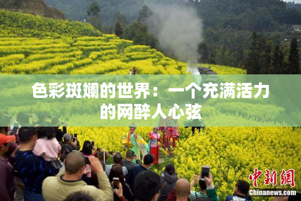 色彩斑斓的世界：一个充满活力的网醉人心弦