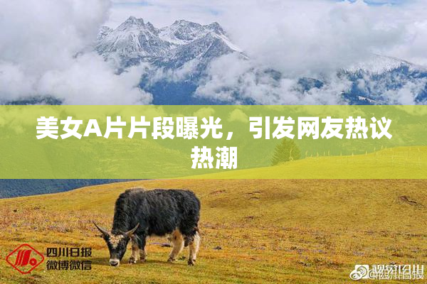 美女A片片段曝光，引发网友热议热潮
