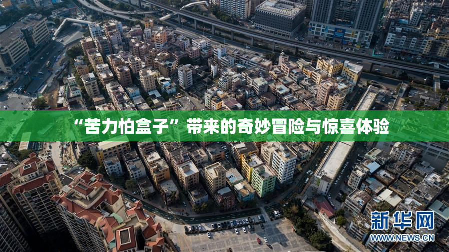 “苦力怕盒子”带来的奇妙冒险与惊喜体验