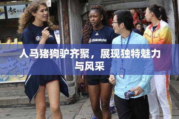 人马猪狗驴齐聚，展现独特魅力与风采