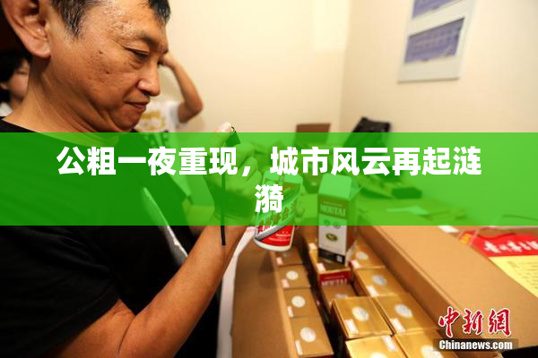 公粗一夜重现，城市风云再起涟漪