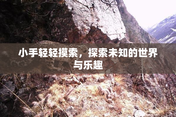 小手轻轻摸索，探索未知的世界与乐趣