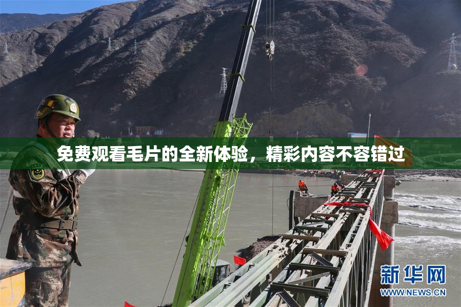 免费观看毛片的全新体验，精彩内容不容错过