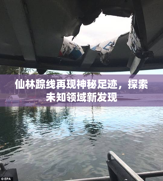 仙林踪线再现神秘足迹，探索未知领域新发现