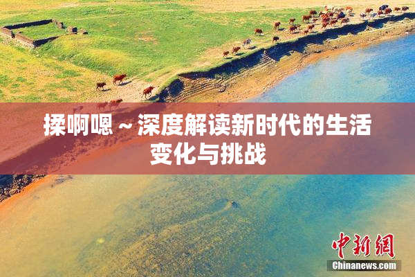 揉啊嗯～深度解读新时代的生活变化与挑战