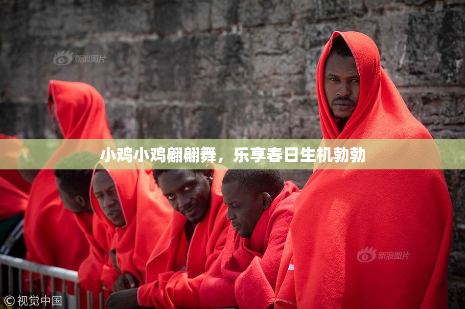 小鸡小鸡翩翩舞，乐享春日生机勃勃