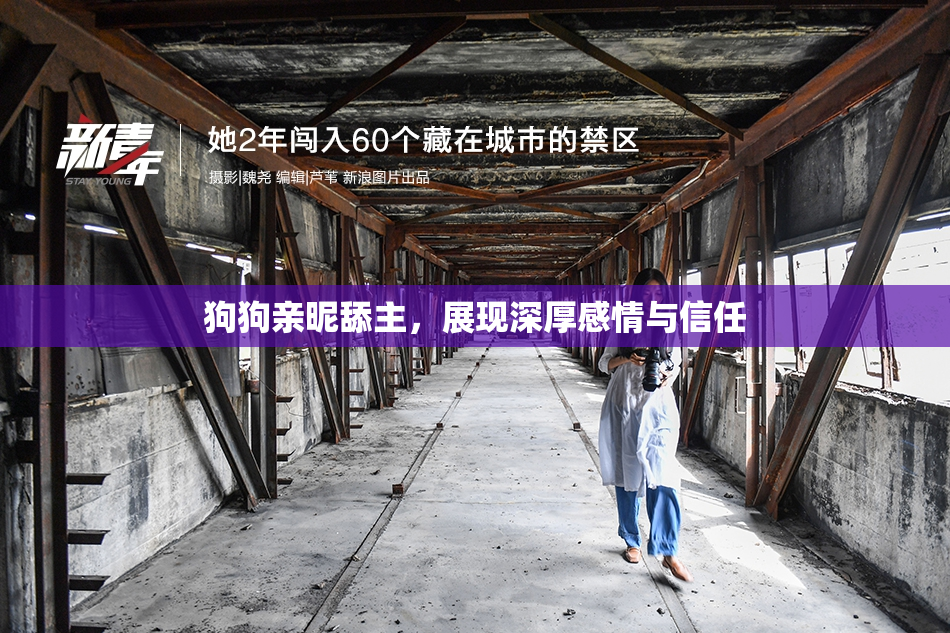 狗狗亲昵舔主，展现深厚感情与信任