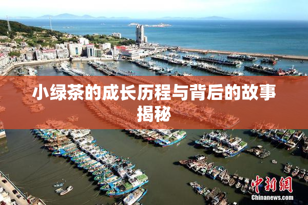 小绿茶的成长历程与背后的故事揭秘
