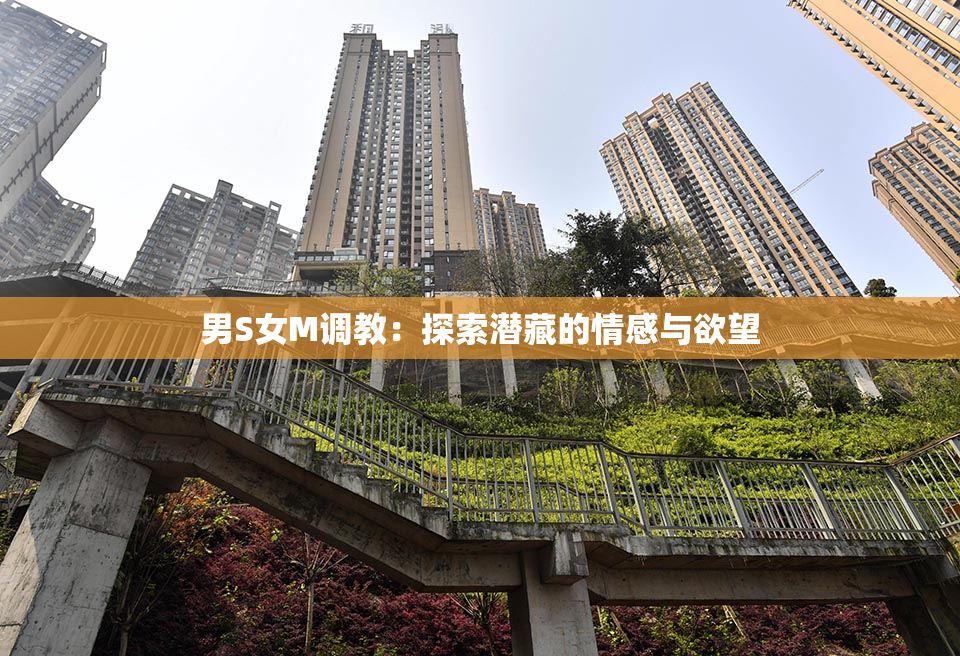男S女M调教：探索潜藏的情感与欲望