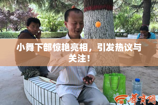 小舞下部惊艳亮相，引发热议与关注！