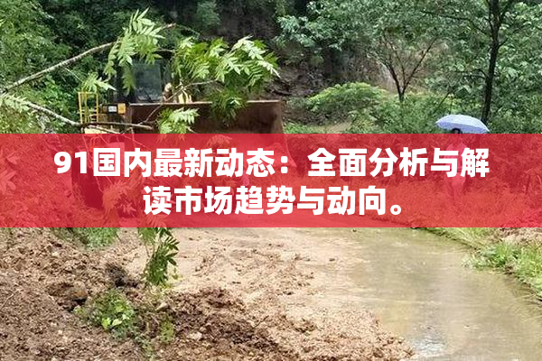 91国内最新动态：全面分析与解读市场趋势与动向。