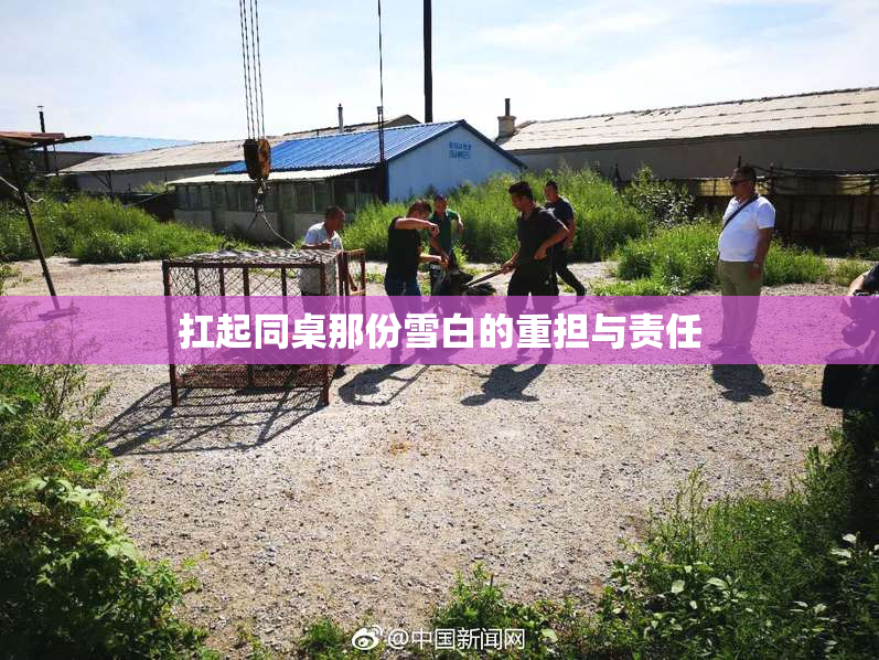 扛起同桌那份雪白的重担与责任