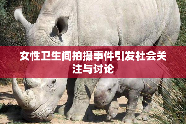 女性卫生间拍摄事件引发社会关注与讨论